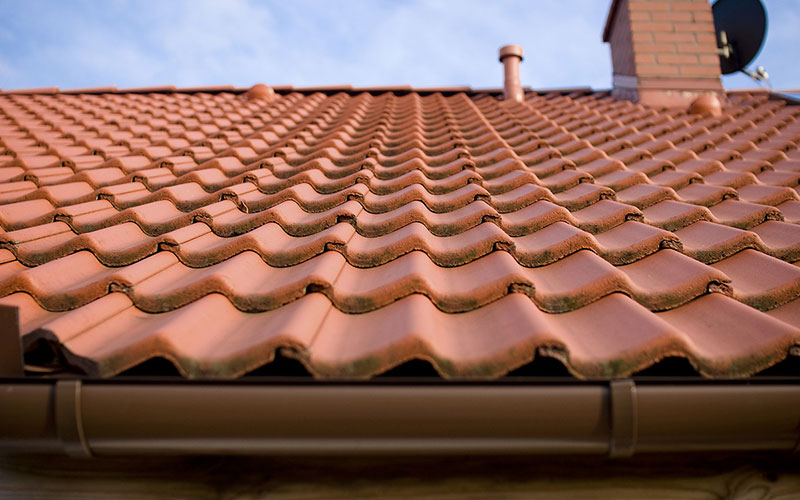 Terracotta Roof