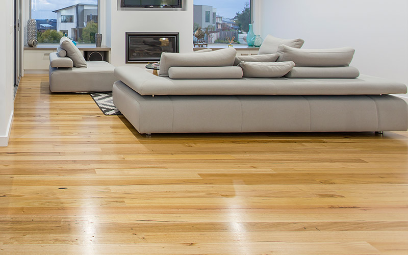 Blackbutt Timber Flooring in Pivot Home Geelong